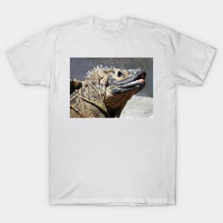 Sailfin Lizard T-Shirt